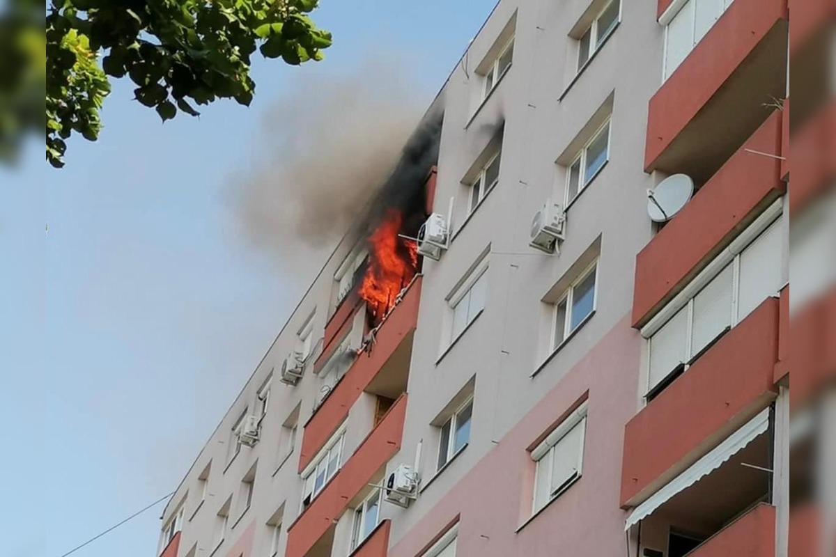 FOTO: Hasiči zachránili z bytového domu 135 osôb a jedného nečakaného obyvateľa - hada, foto 2