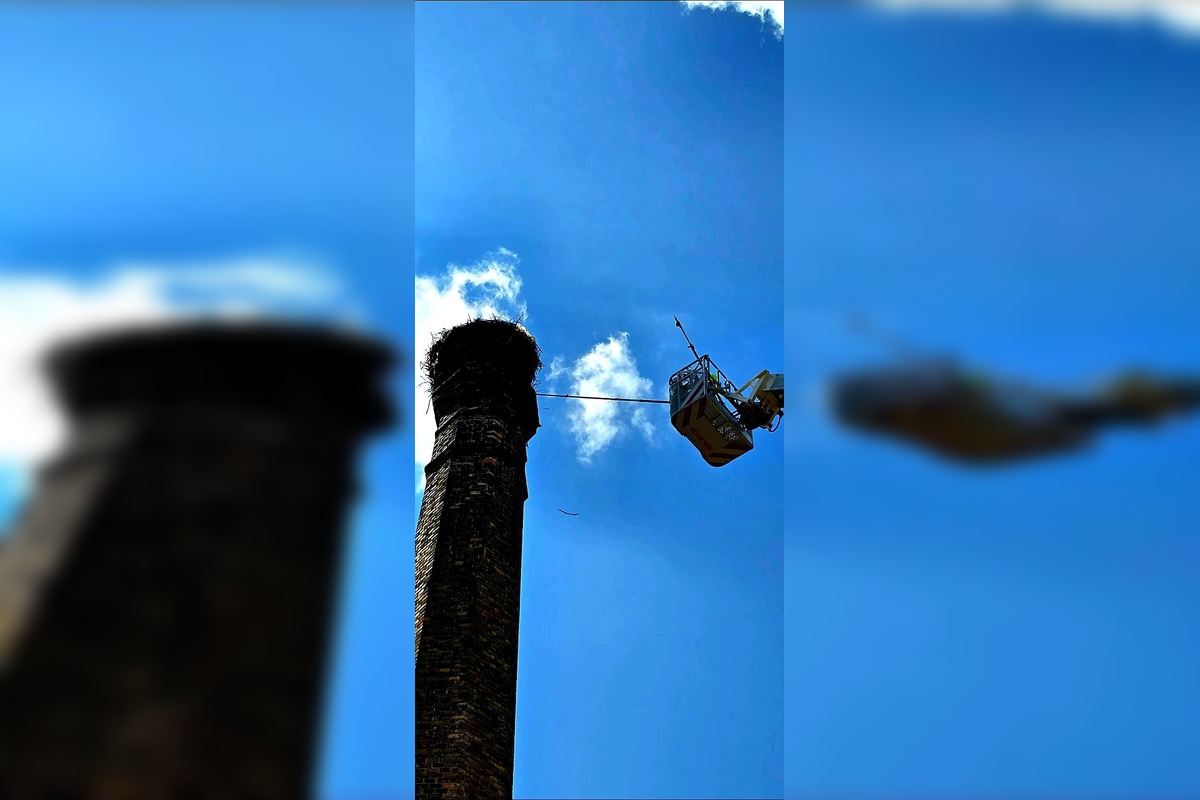 FOTO: Hasiči z Piešťan mali netradičný zásah – zachraňovali bociana, foto 2