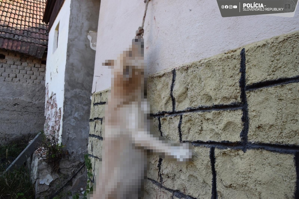 FOTO: Otrasný prípad týrania zvieraťa v Chtelnici, foto 2