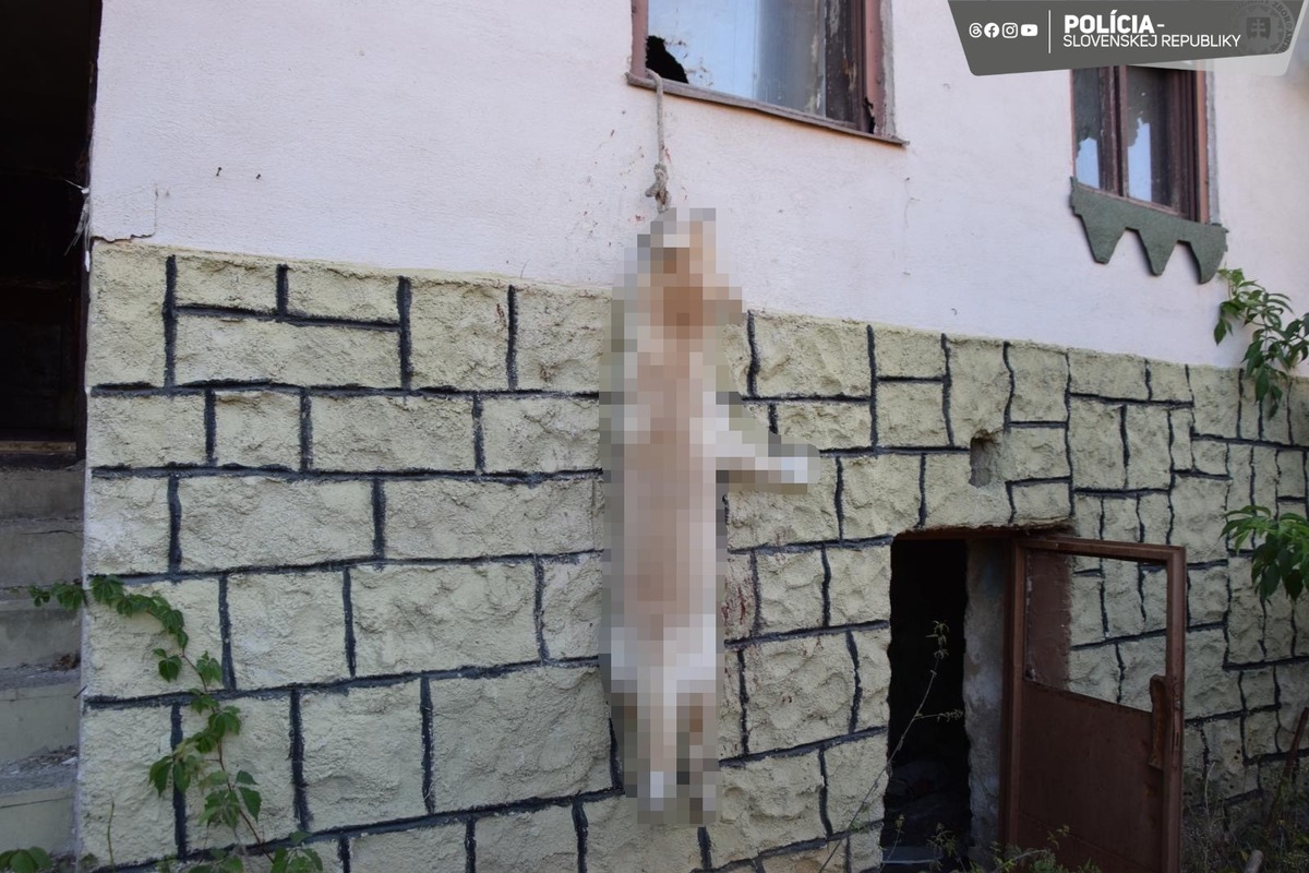 FOTO: Otrasný prípad týrania zvieraťa v Chtelnici, foto 4