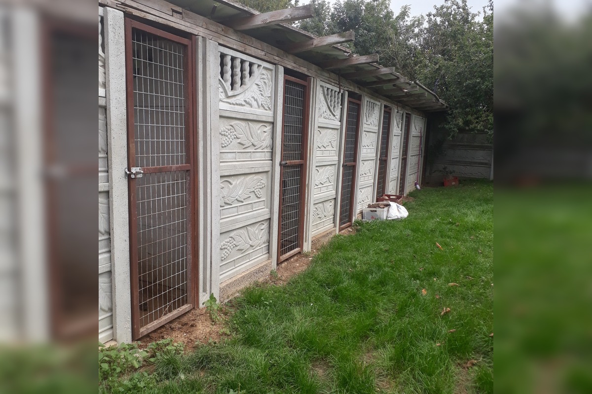 FOTO: V Jablonici veterinári odhalili nelegálnu množiareň psov v zlých podmienkach, foto 5