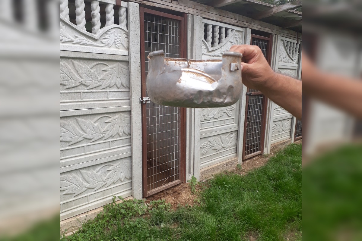 FOTO: V Jablonici veterinári odhalili nelegálnu množiareň psov v zlých podmienkach, foto 8