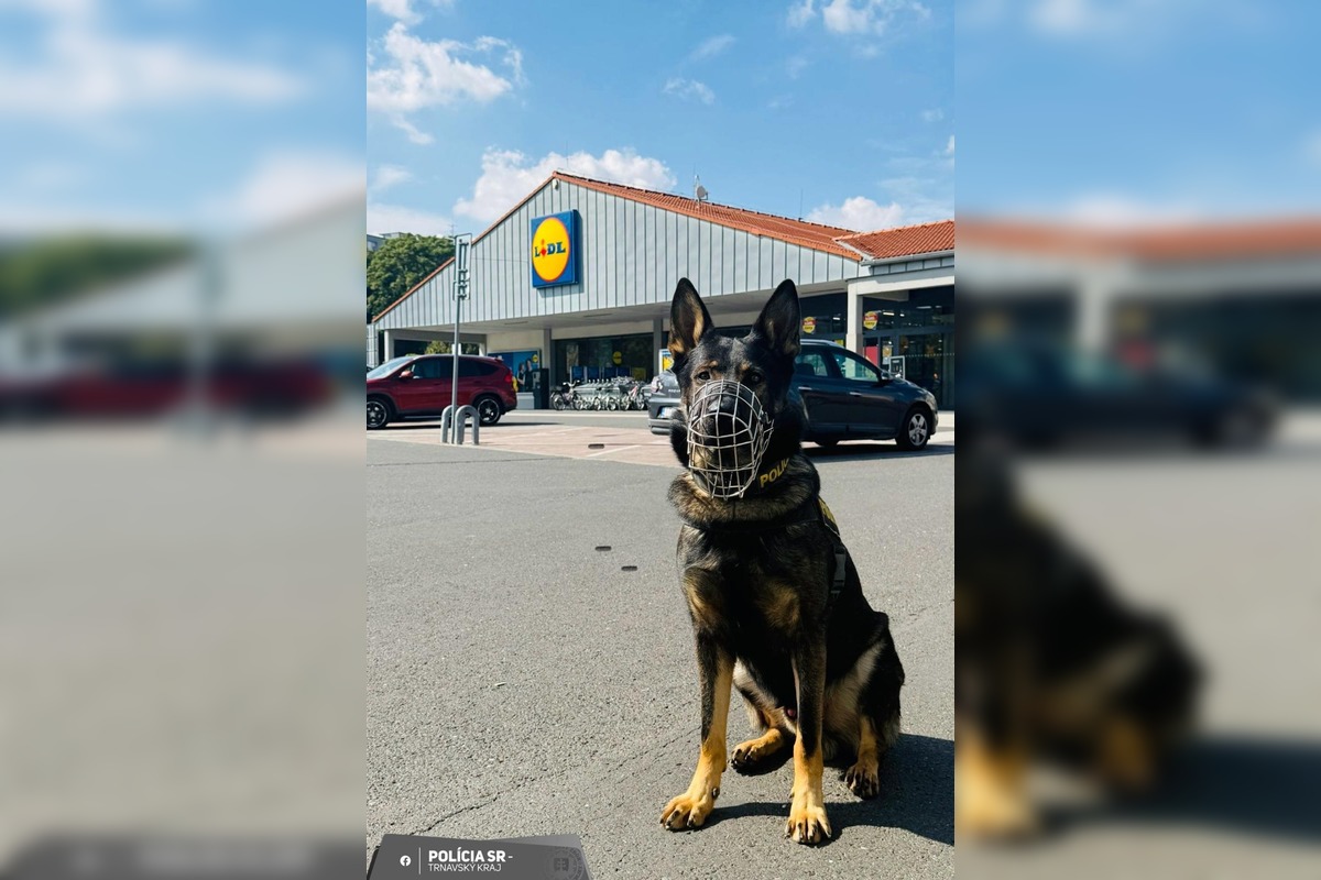 FOTO: Polícia zasiahla proti krádežiam, foto 2