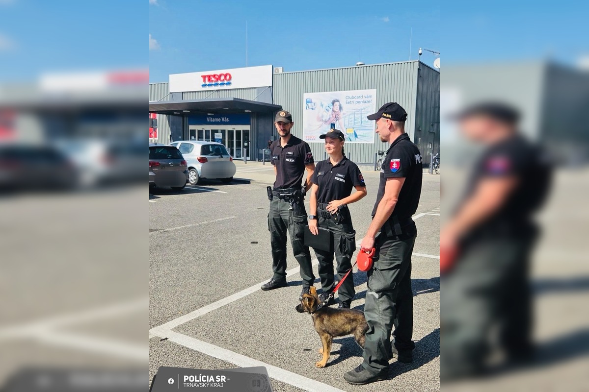 FOTO: Polícia zasiahla proti krádežiam, foto 4
