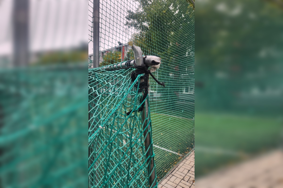 FOTO: Stav ihrísk v Galante, foto 4