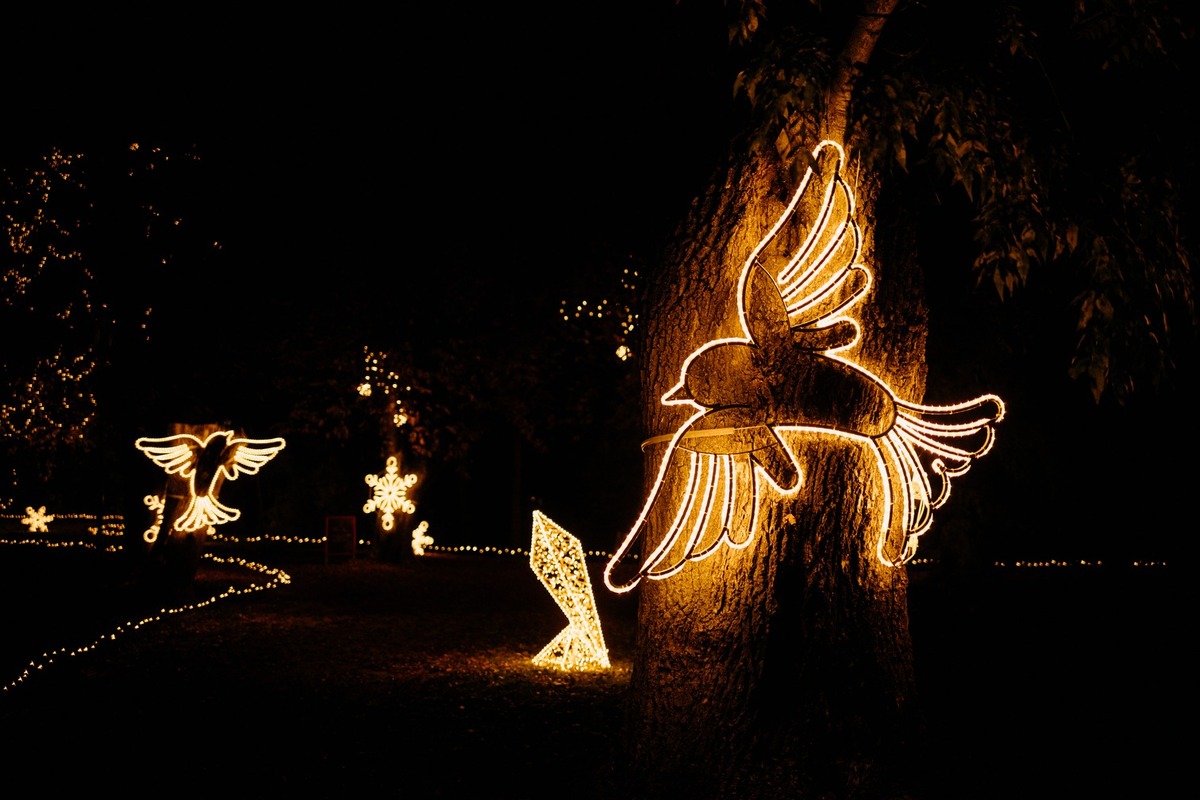 FOTO: Zámocký park v Seredi rozžiari výstava Story of Lights, foto 3