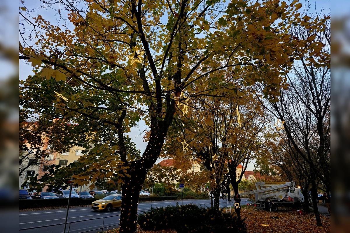 FOTO: V Seredi sa už zvianočnieva, foto 1