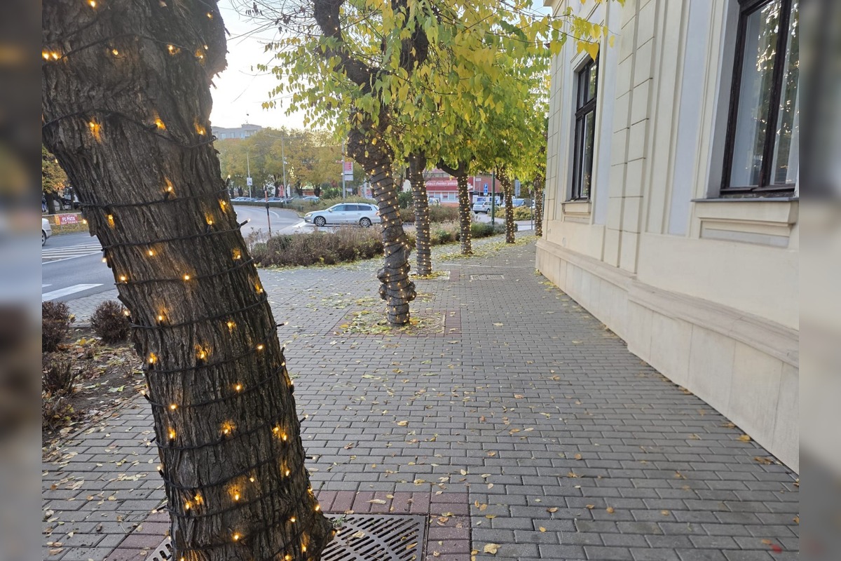 FOTO: V Seredi sa už zvianočnieva, foto 2