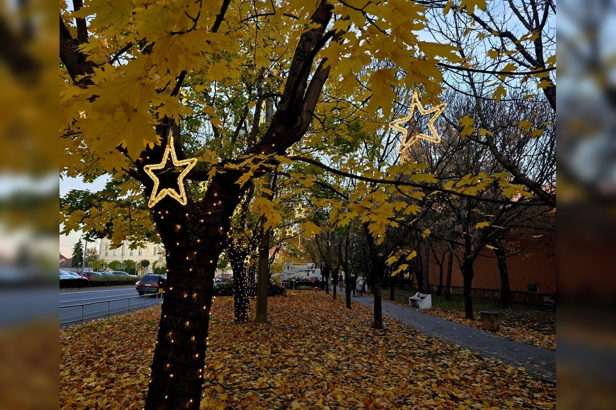 FOTO: V Seredi sa už zvianočnieva, foto 3