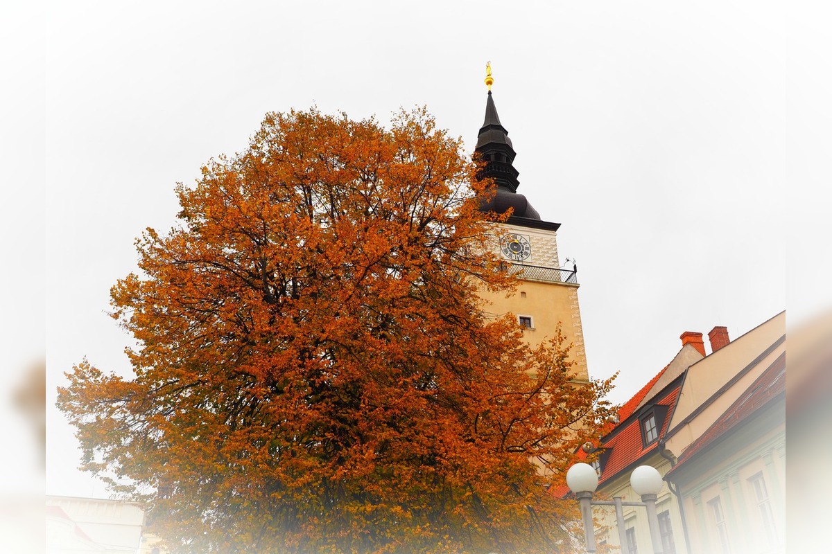 FOTO: Trnavčanka zachytila krásu Trnavy počas jesene, foto 1