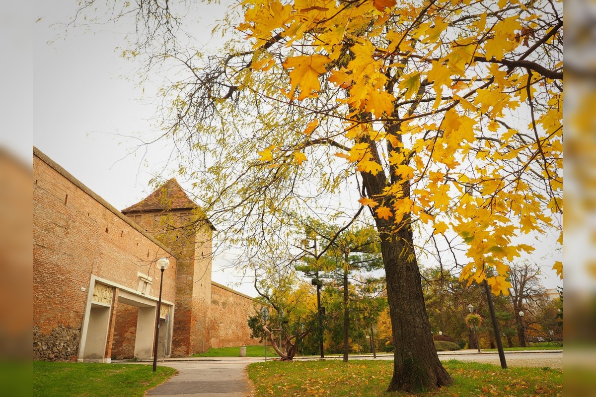 FOTO: Trnavčanka zachytila krásu Trnavy počas jesene, foto 4
