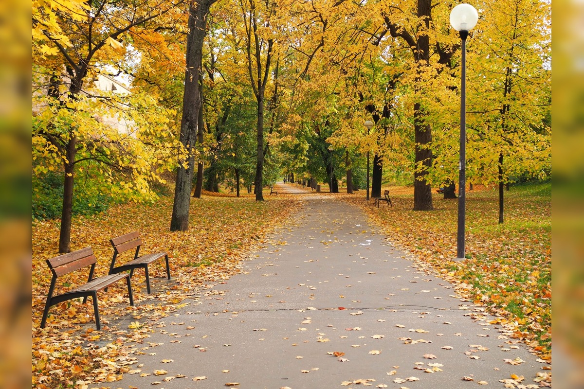 FOTO: Trnavčanka zachytila krásu Trnavy počas jesene, foto 6