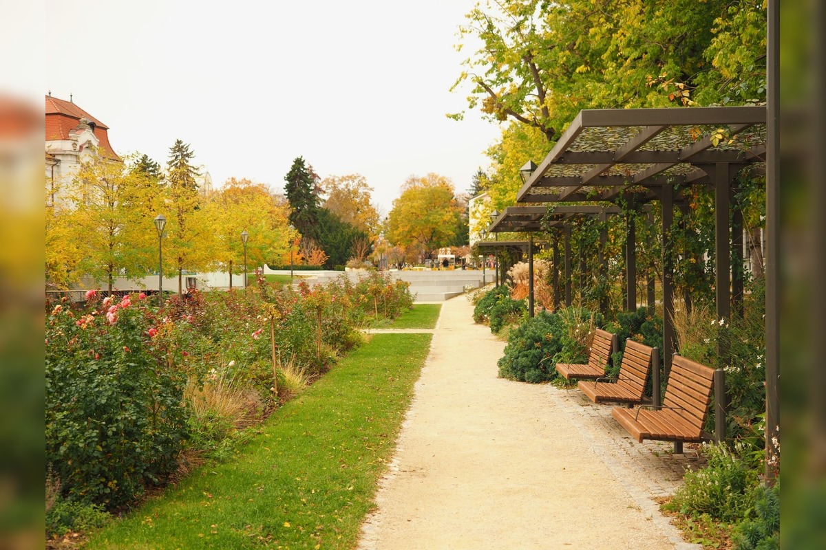 FOTO: Trnavčanka zachytila krásu Trnavy počas jesene, foto 7