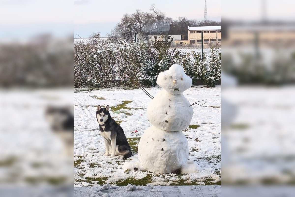 FOTO: Z prvého snehu v Trnave vzniklo hneď niekoľko snehuliakov, foto 7