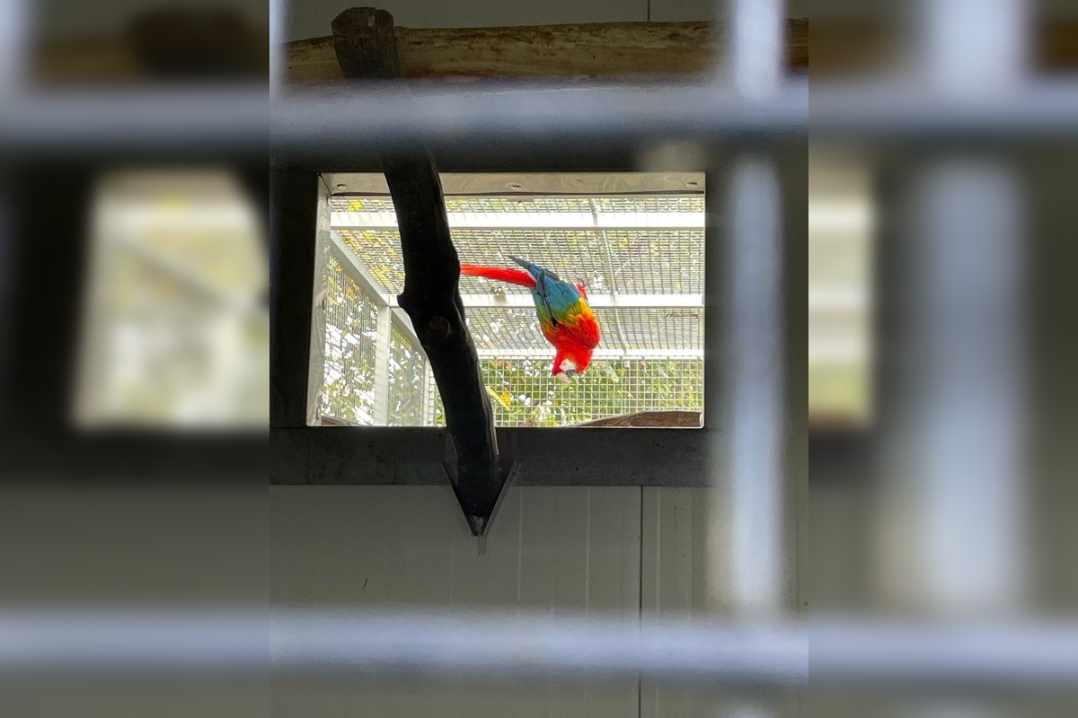 FOTO: Hlohovčan si doma spravil vlastnú nelegálnu minizoo, foto 1