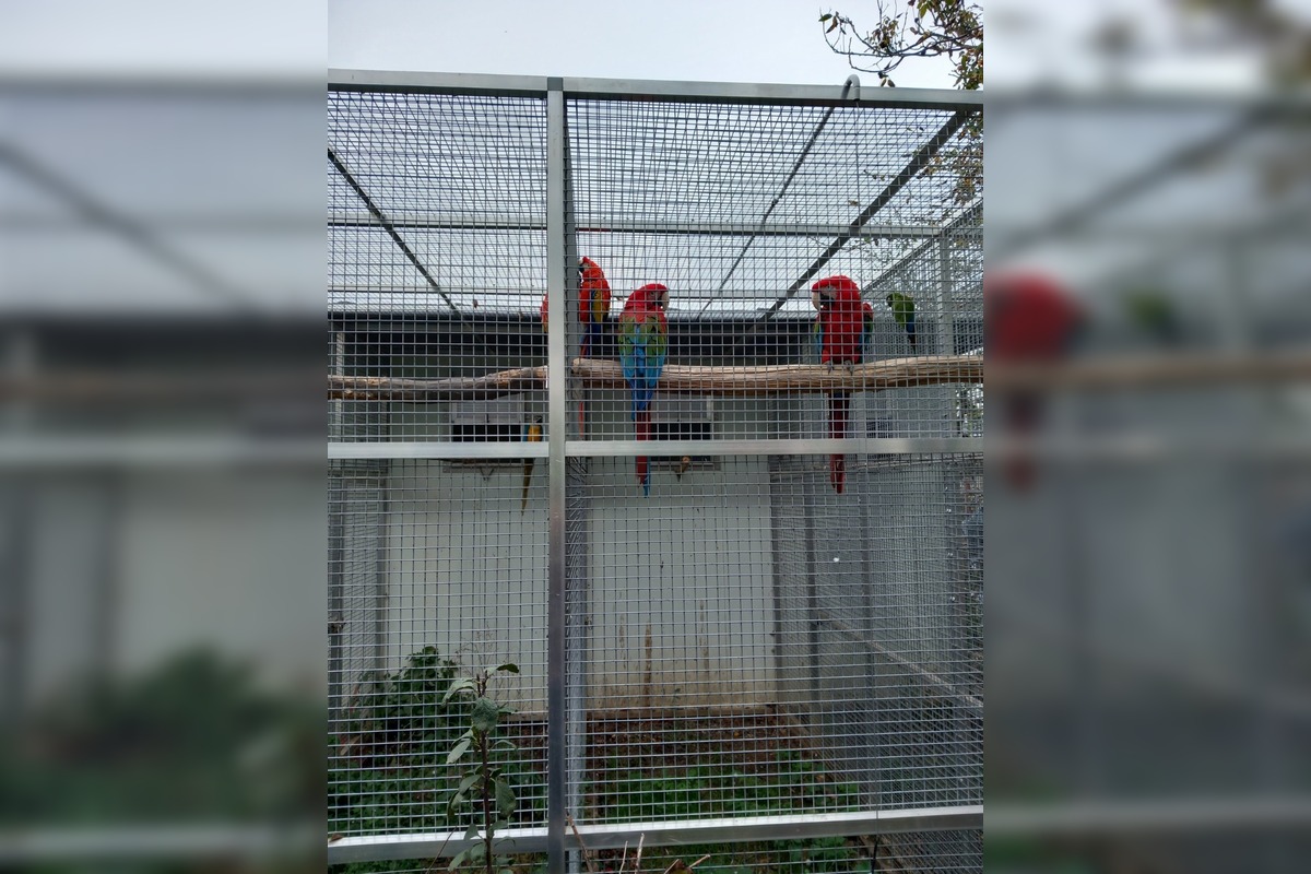 FOTO: Hlohovčan si doma spravil vlastnú nelegálnu minizoo, foto 3