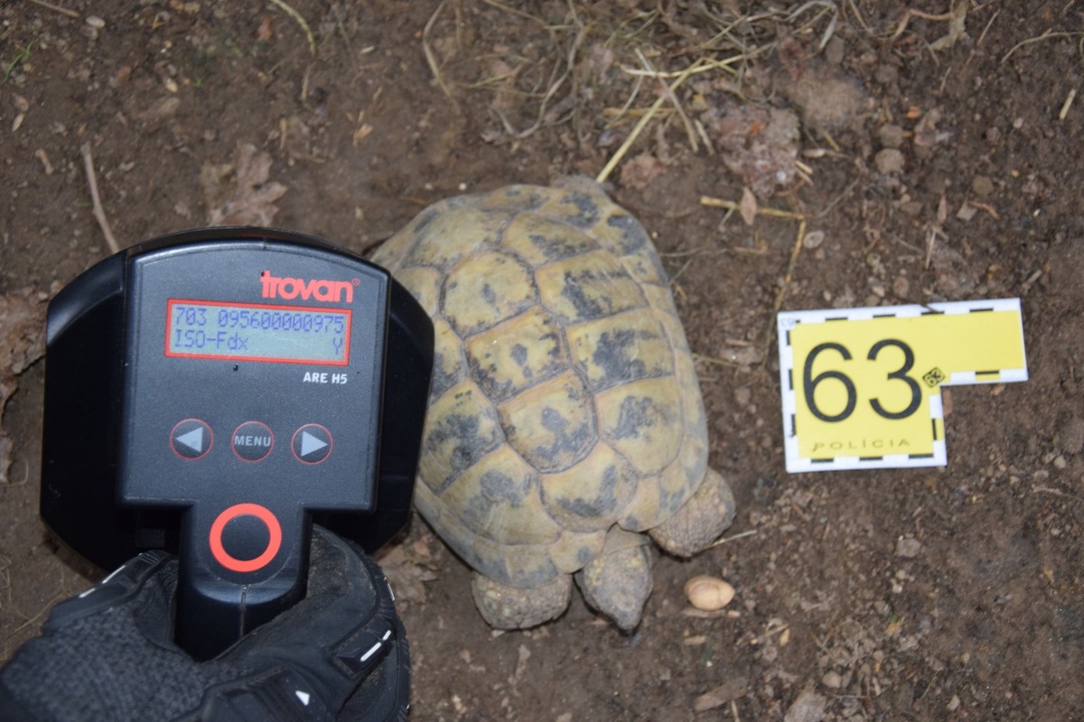 FOTO: Hlohovčan si doma spravil vlastnú nelegálnu minizoo, foto 4