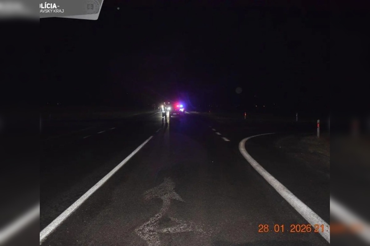 FOTO: Dopravná nehoda Borárosovej priateľky, foto 4