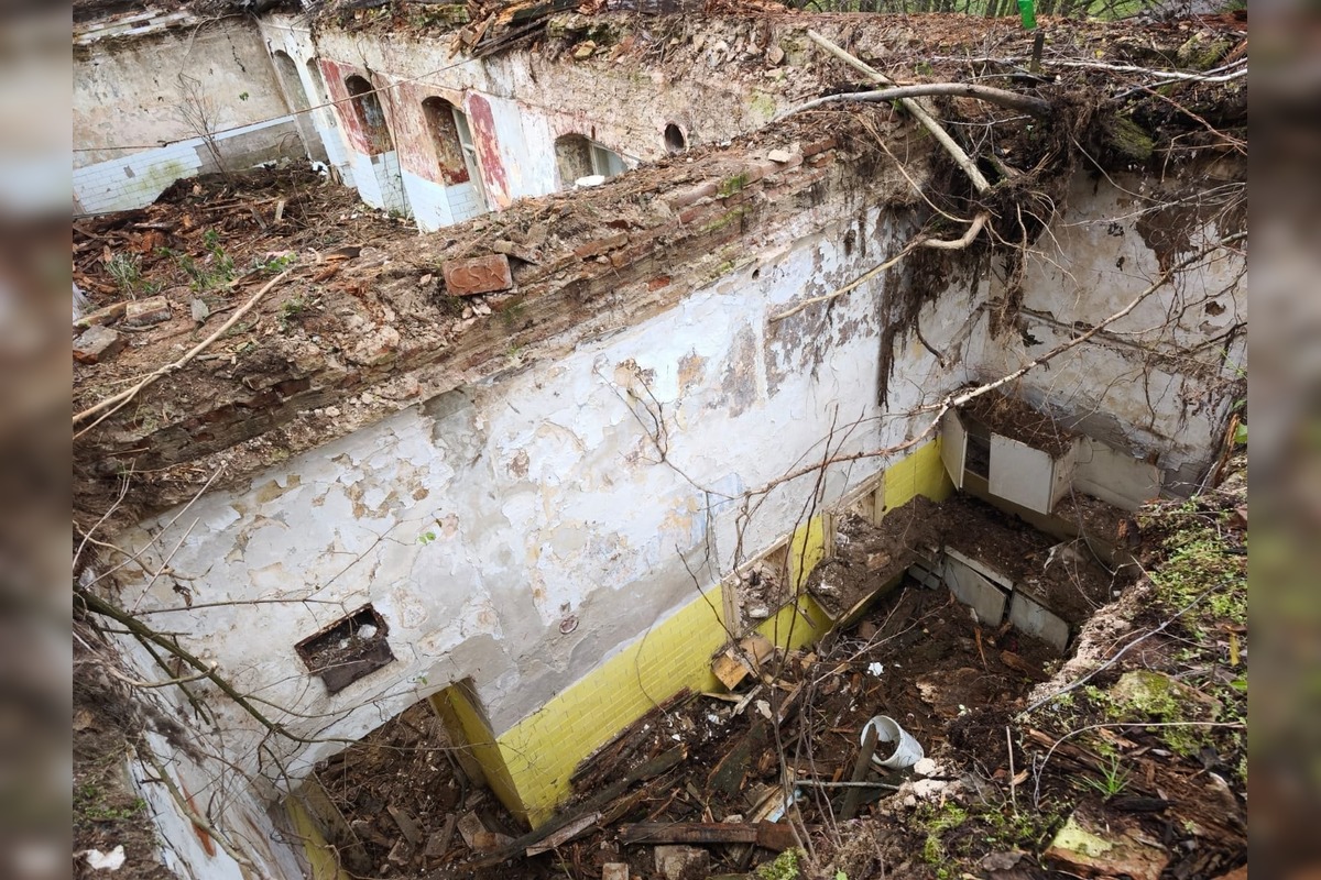 FOTO: Dobrovoľníci zo Sokoloviec a okolia pomáhajú rekonštruovať miestny kaštieľ, foto 2