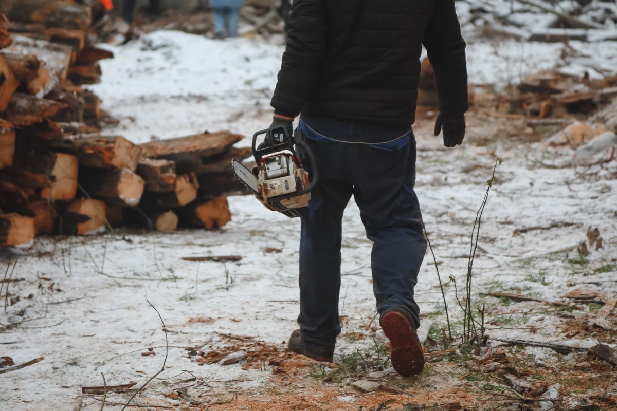 FOTO: Dobrovoľníci zo Sokoloviec a okolia pomáhajú rekonštruovať miestny kaštieľ, foto 11