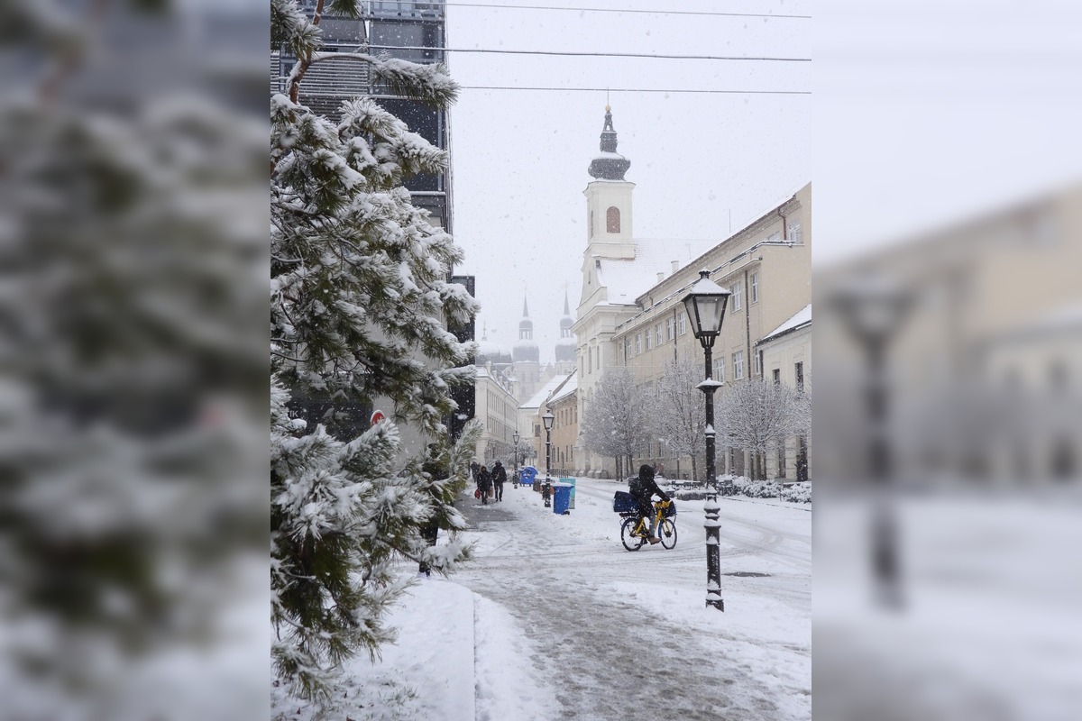 FOTO: Zasnežená Trnava, foto 4