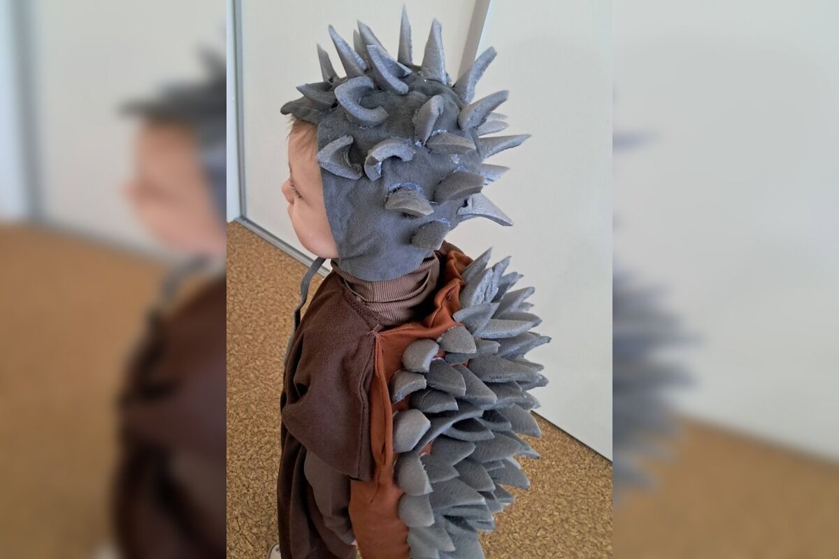 FOTO: Originálny kostým pavúka na karneval, foto 10