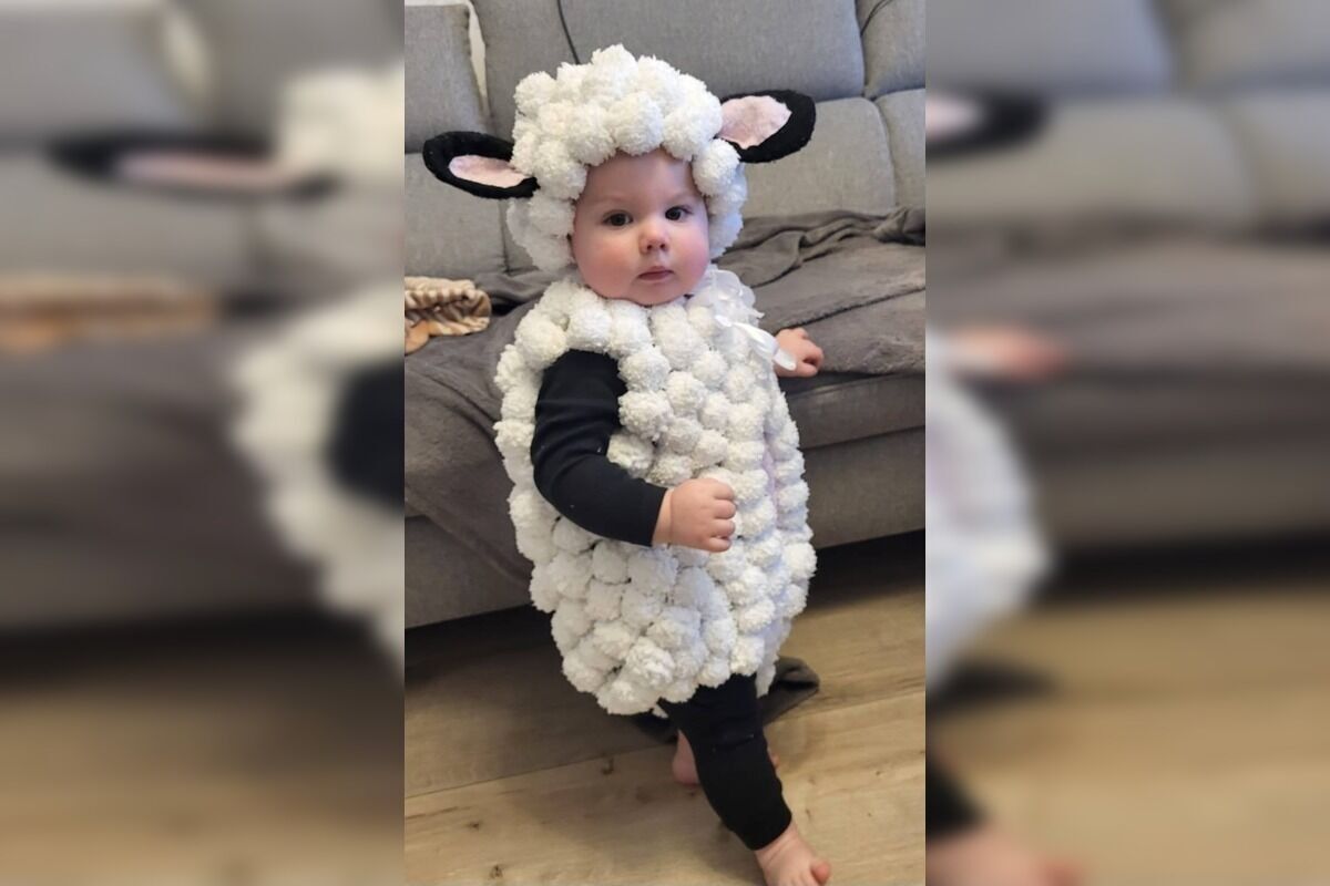 FOTO: Originálny kostým pavúka na karneval, foto 11