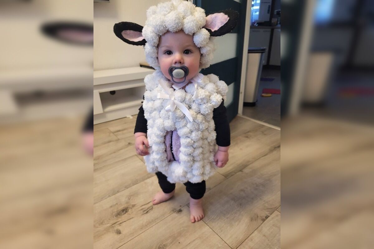 FOTO: Originálny kostým pavúka na karneval, foto 12