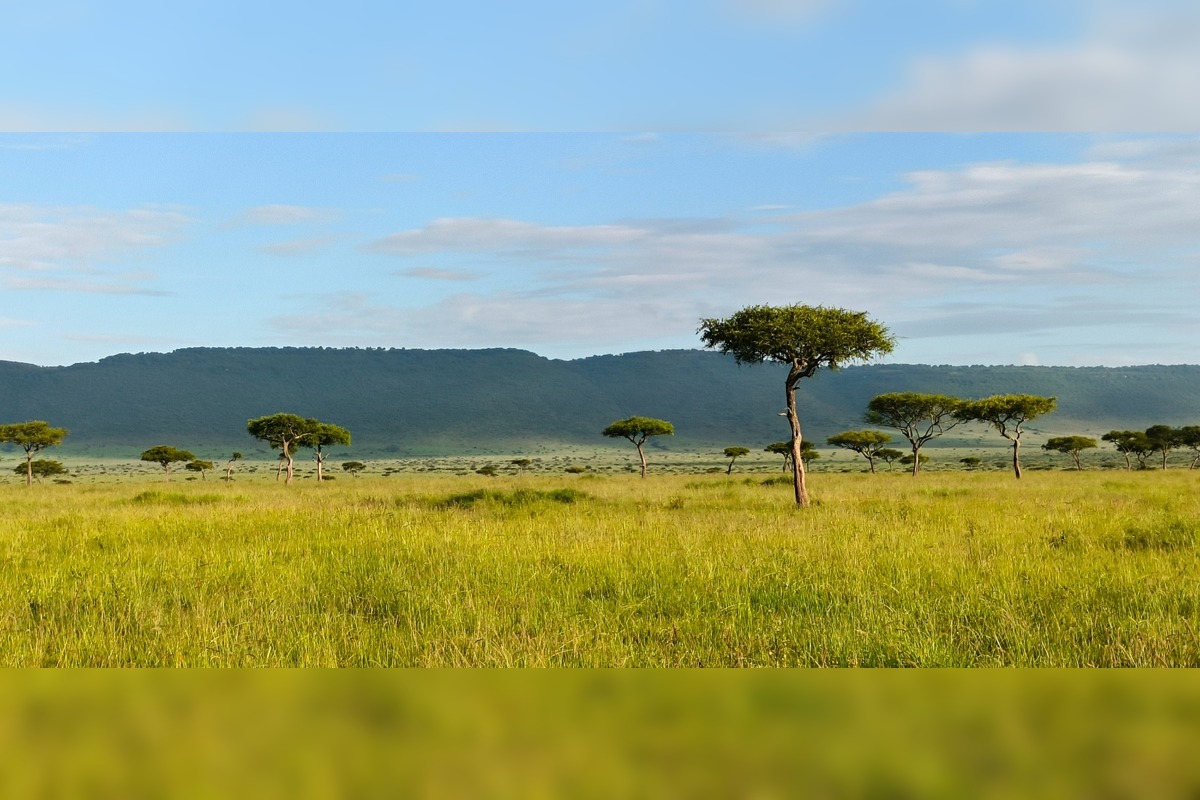 FOTO: Ornitológovia upozorňujú pred krutým osudom bocianov v Afrike, foto 6