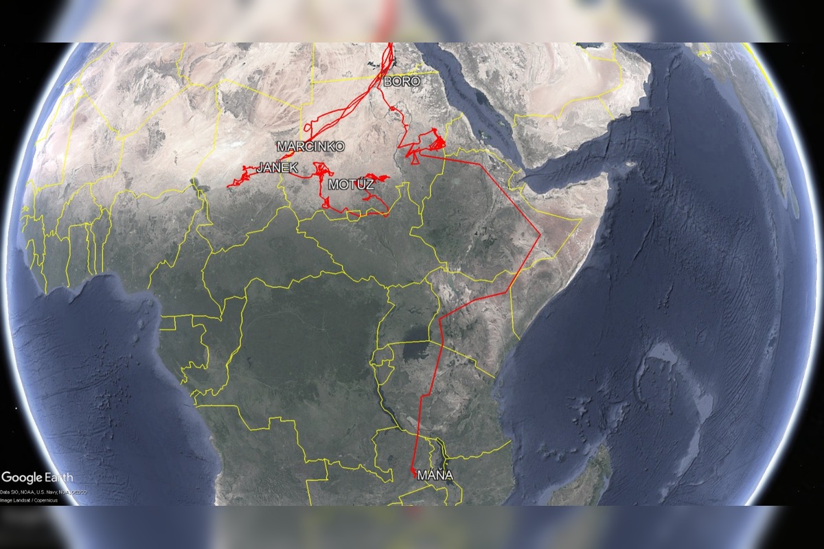 FOTO: Ornitológovia upozorňujú pred krutým osudom bocianov v Afrike, foto 9