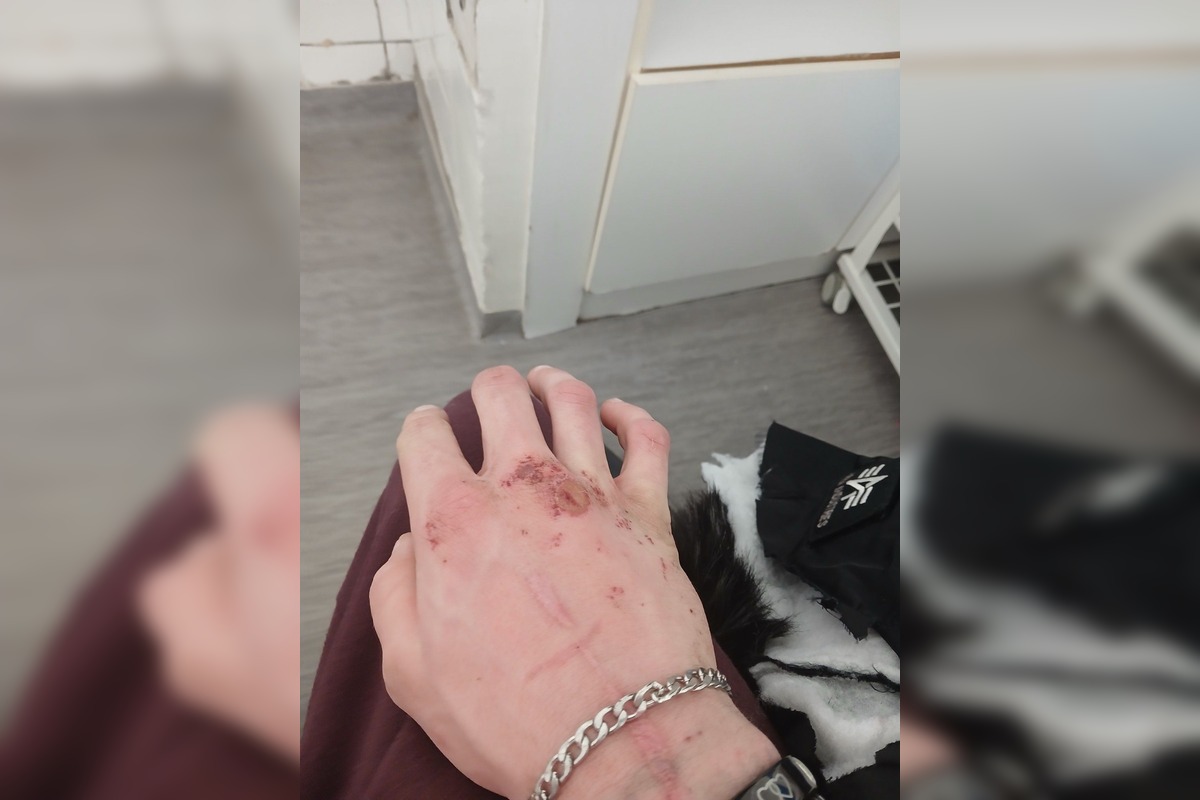 FOTO: Stana niekto zrazil cestou do Hlohovca, hľadá vinníka, foto 2