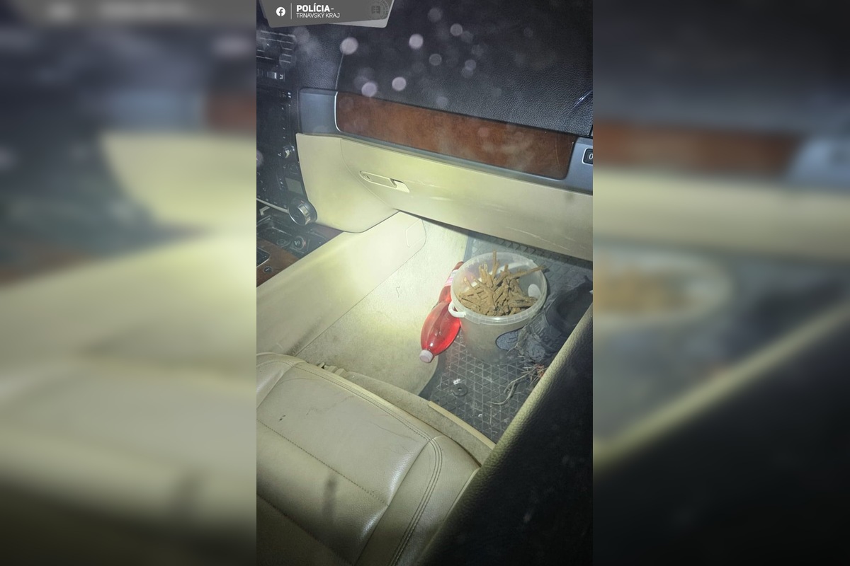 FOTO: Kriminalisti odhalili, kto stojí za výbuchom bankomatu v Dolných Salibách, foto 1