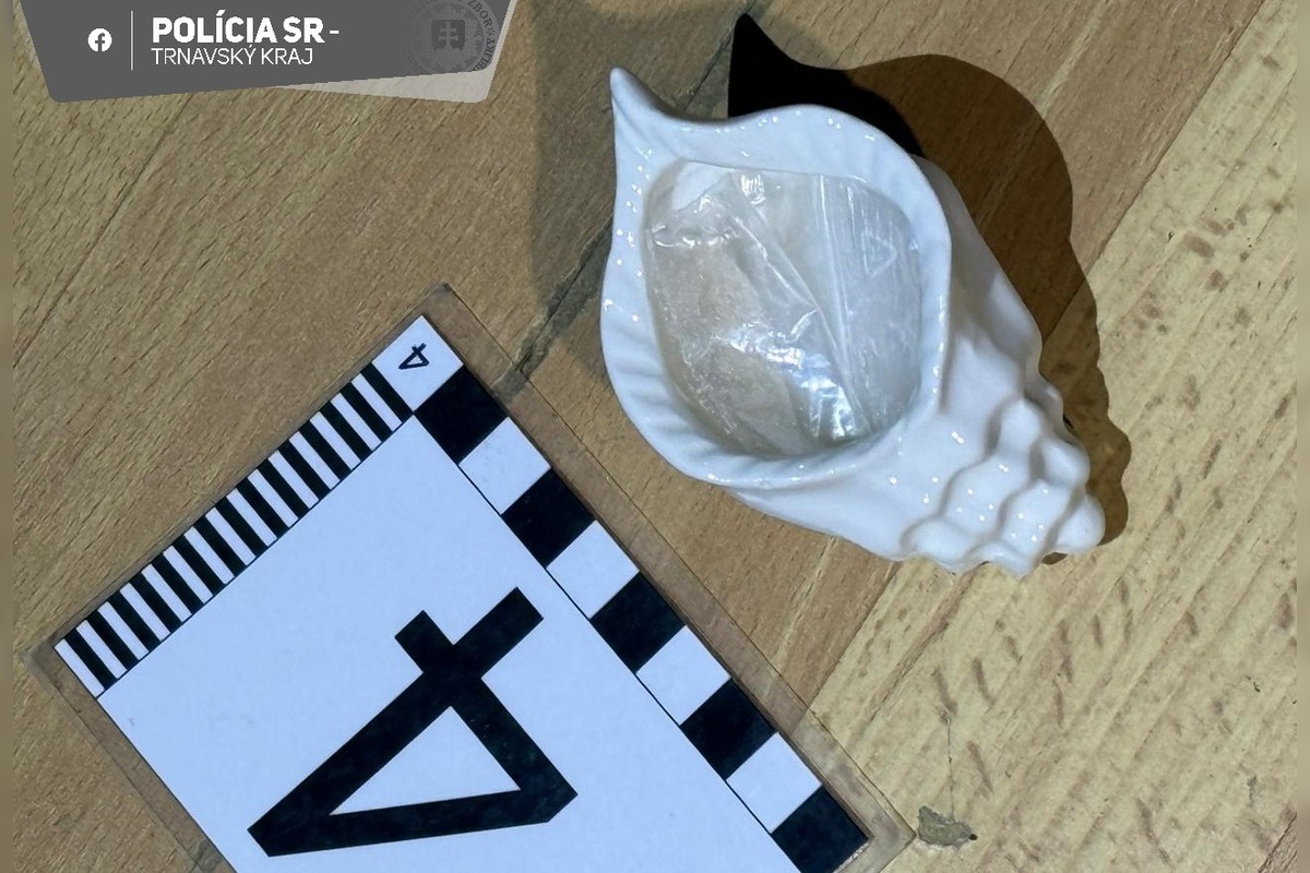 FOTO: Polícia v Trnave chytili dílerov drog, foto 1