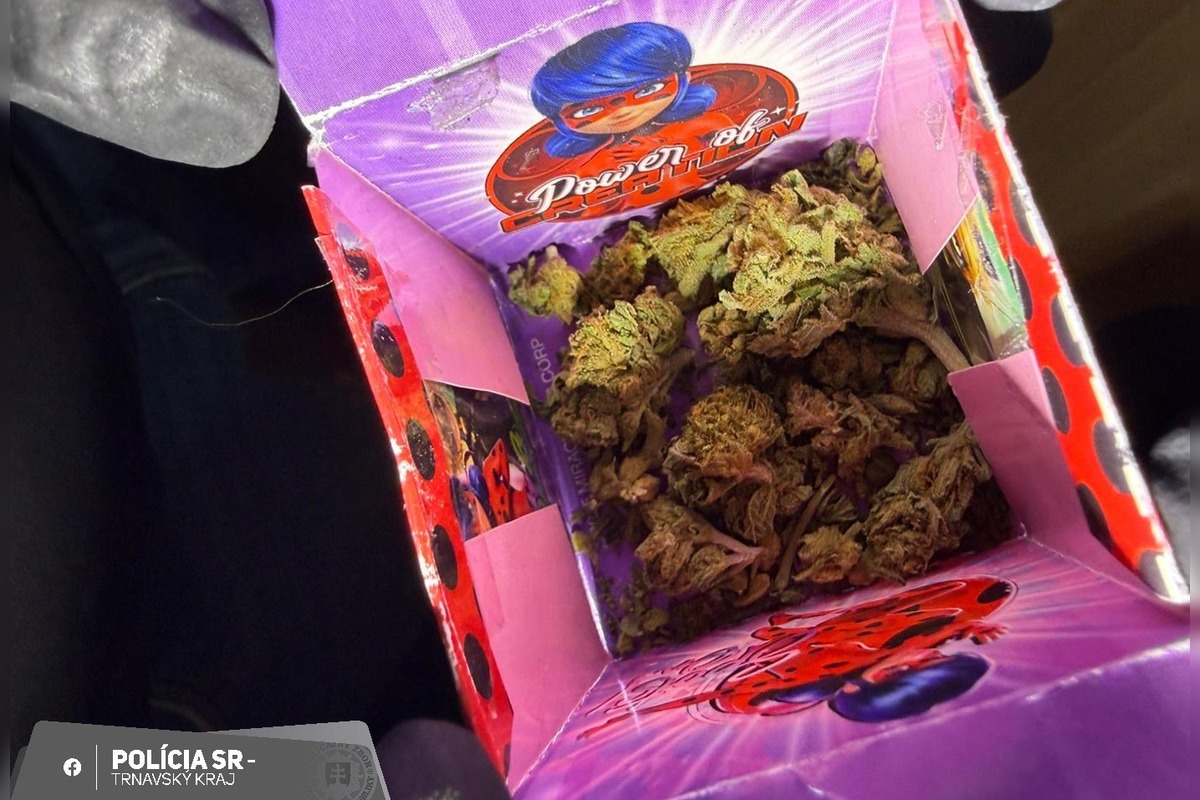 FOTO: Polícia v Trnave chytili dílerov drog, foto 4