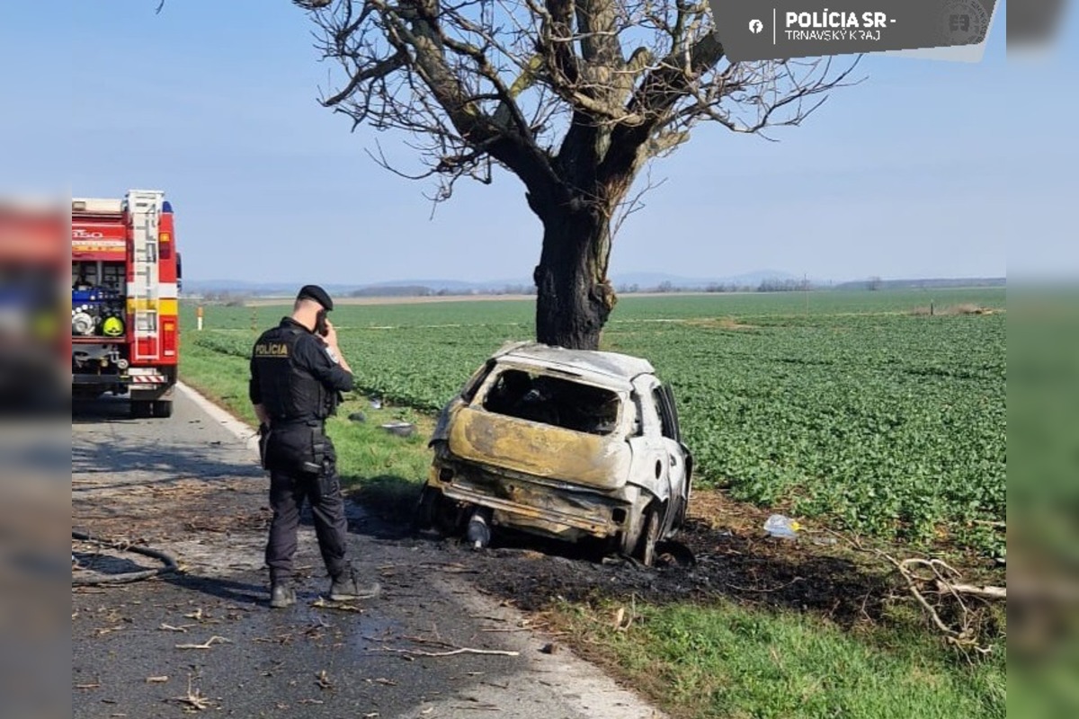 FOTO: Tragická nehoda pri Trnave. Auto narazilo do stromu, vodič v ňom uhorel, foto 4
