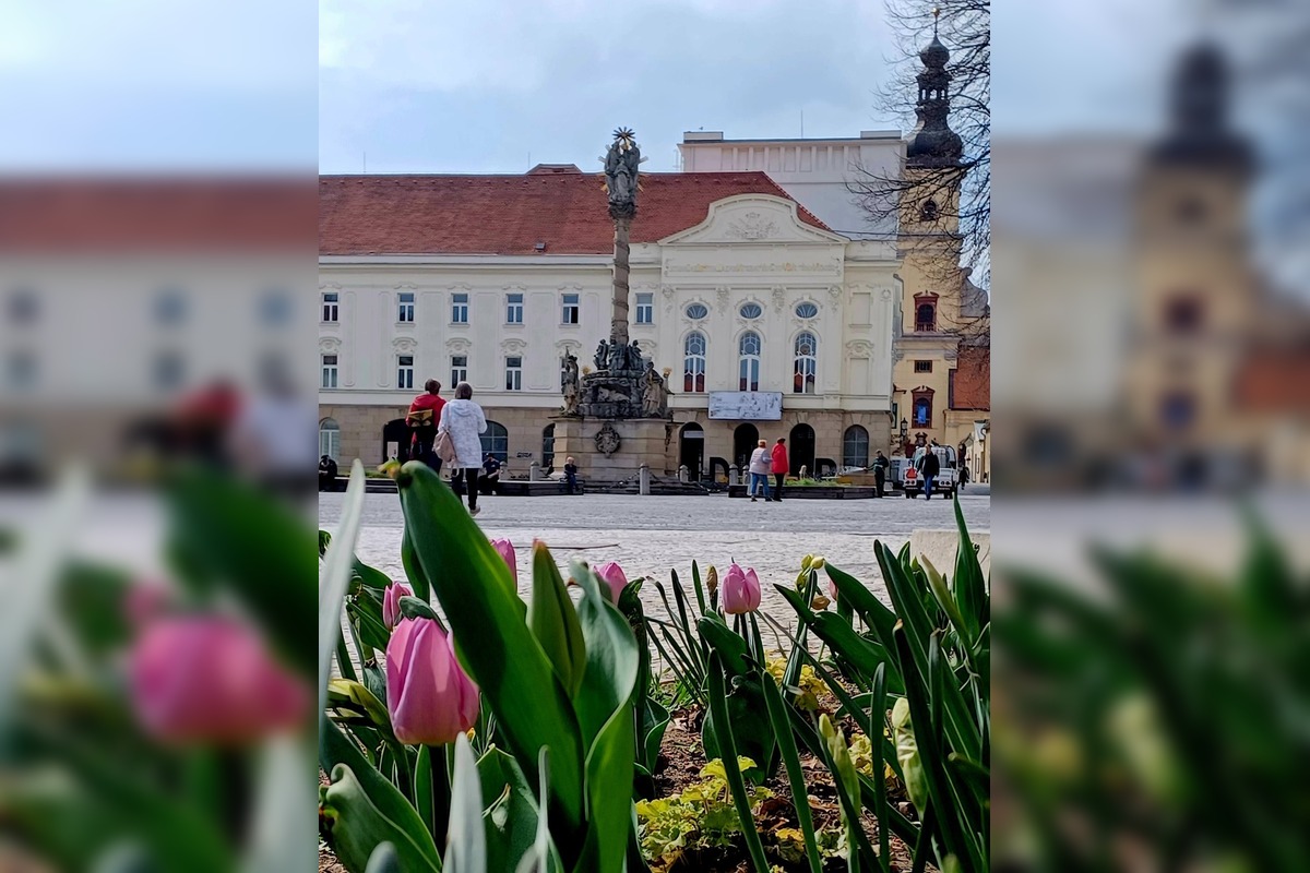 FOTO: Trnava už žiari pestrými farbami Veľkej Noci, foto 3