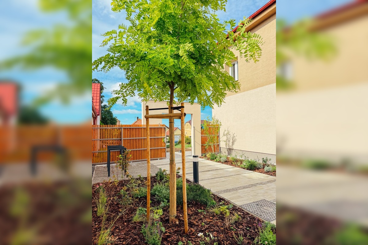 FOTO: V Modranke sa skrášli priestor pred kultúrnym domom, foto 7