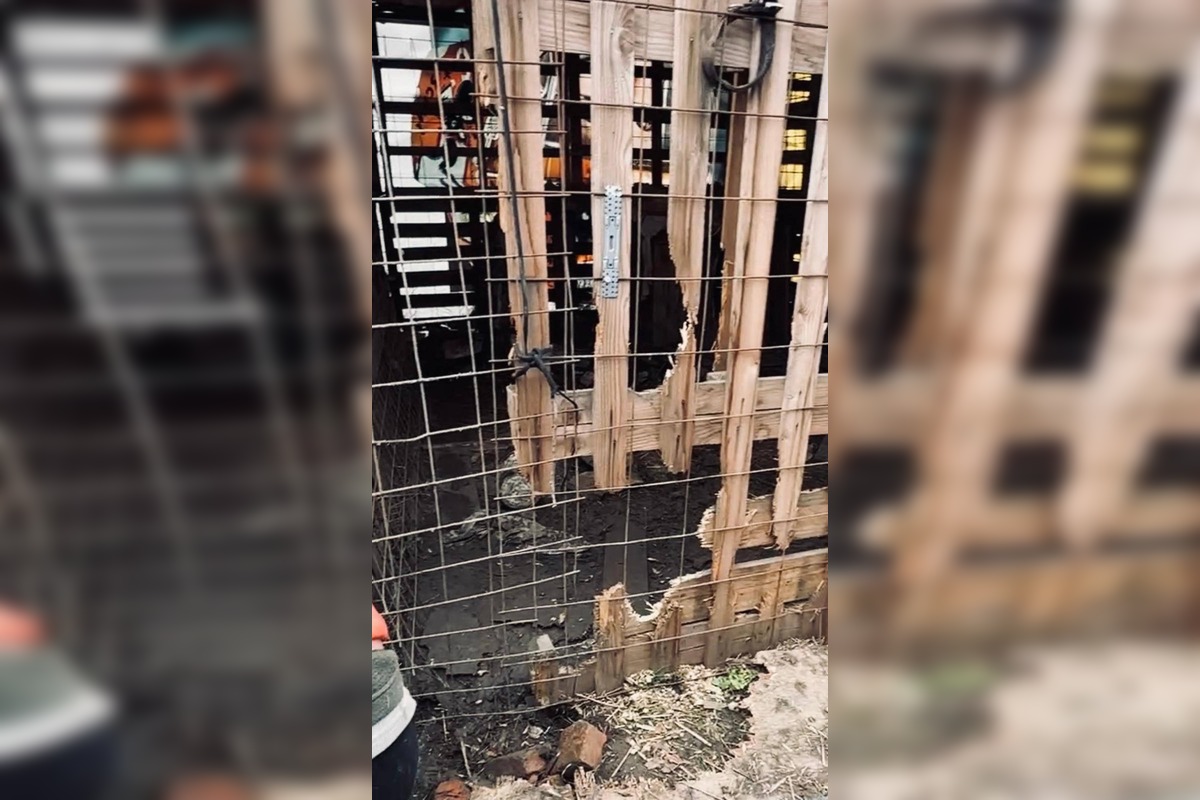 FOTO: Štátna veterinárna správa zasiahla proti chovateľke na Záhorí, foto 8