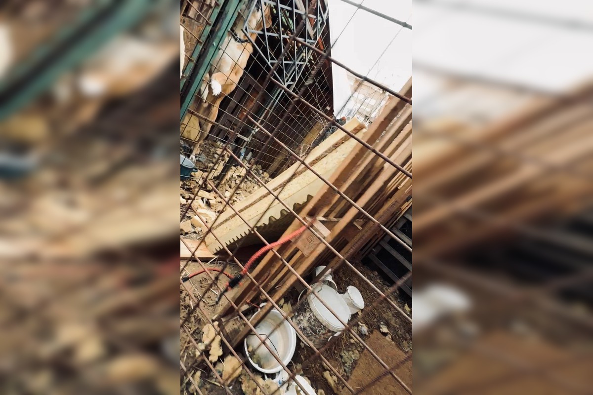 FOTO: Štátna veterinárna správa zasiahla proti chovateľke na Záhorí, foto 9