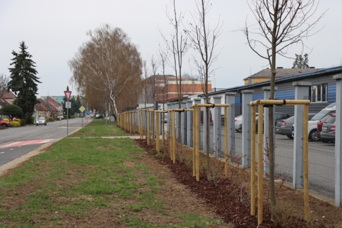 FOTO: Senica otvorila dve nové cyklotrasy a stanicu Bike & Ride, foto 7