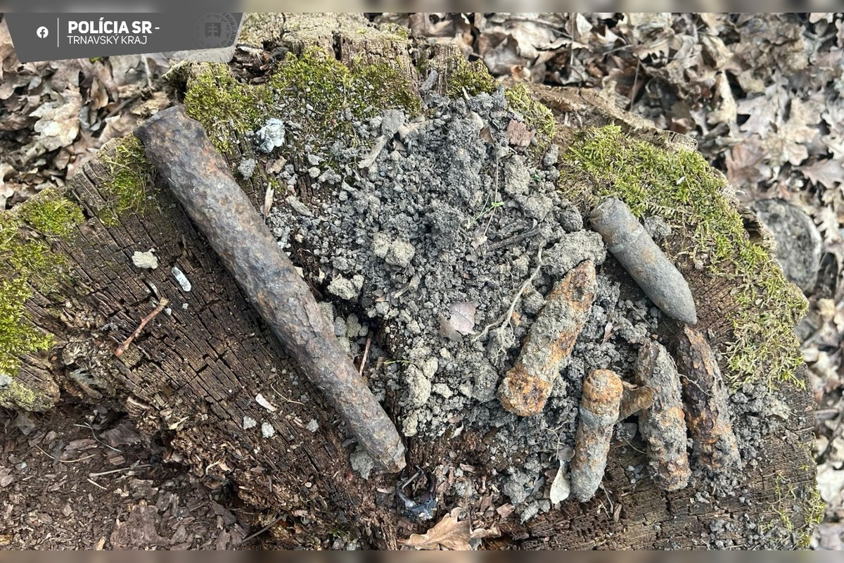 FOTO: V lese v Holíči bola nájdená munícia z 2. svetovej vojny, foto 1