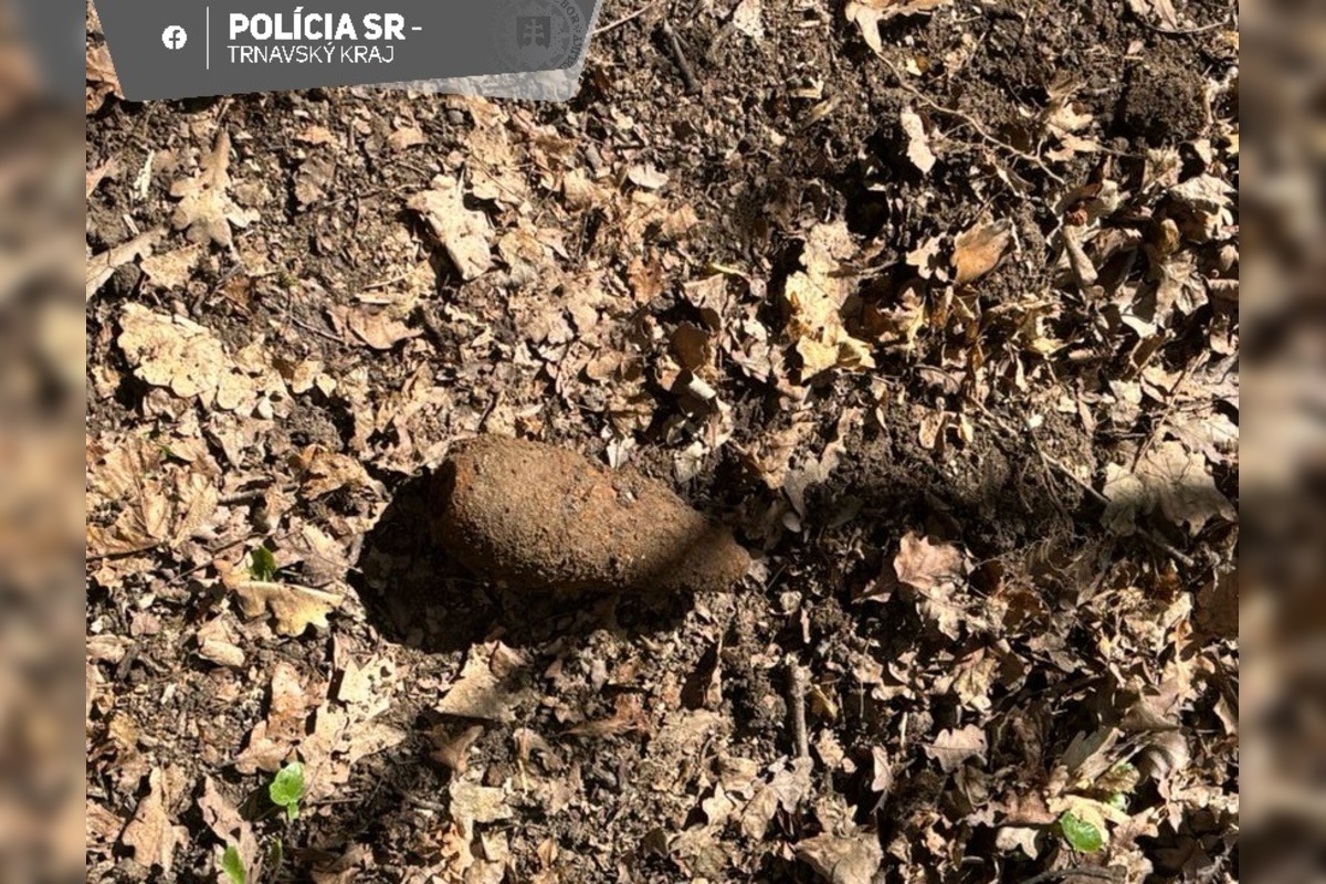 FOTO: V lese v Holíči bola nájdená munícia z 2. svetovej vojny, foto 2