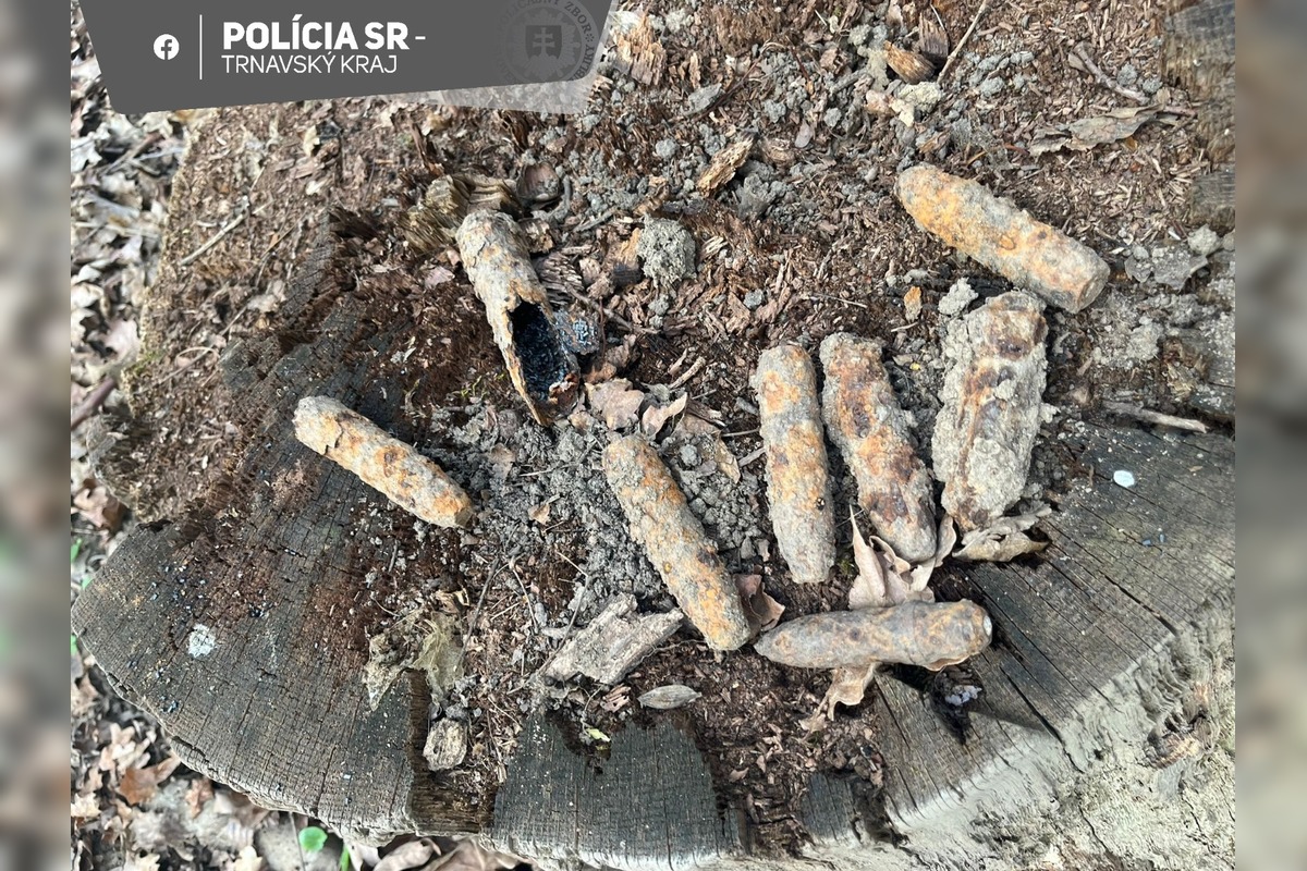 FOTO: V lese v Holíči bola nájdená munícia z 2. svetovej vojny, foto 3