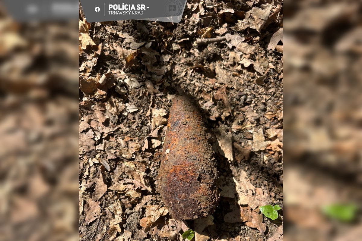 FOTO: V lese v Holíči bola nájdená munícia z 2. svetovej vojny, foto 4