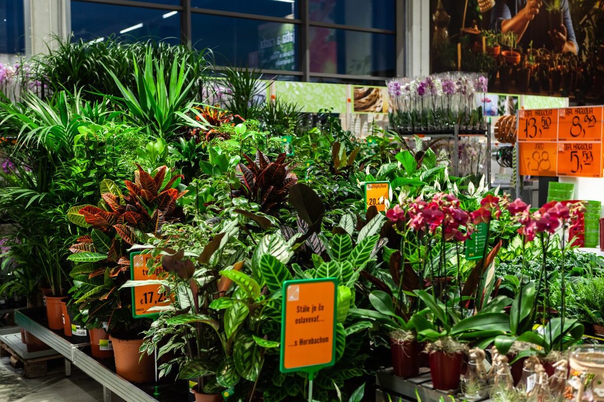 FOTO: Hornbach, foto 5