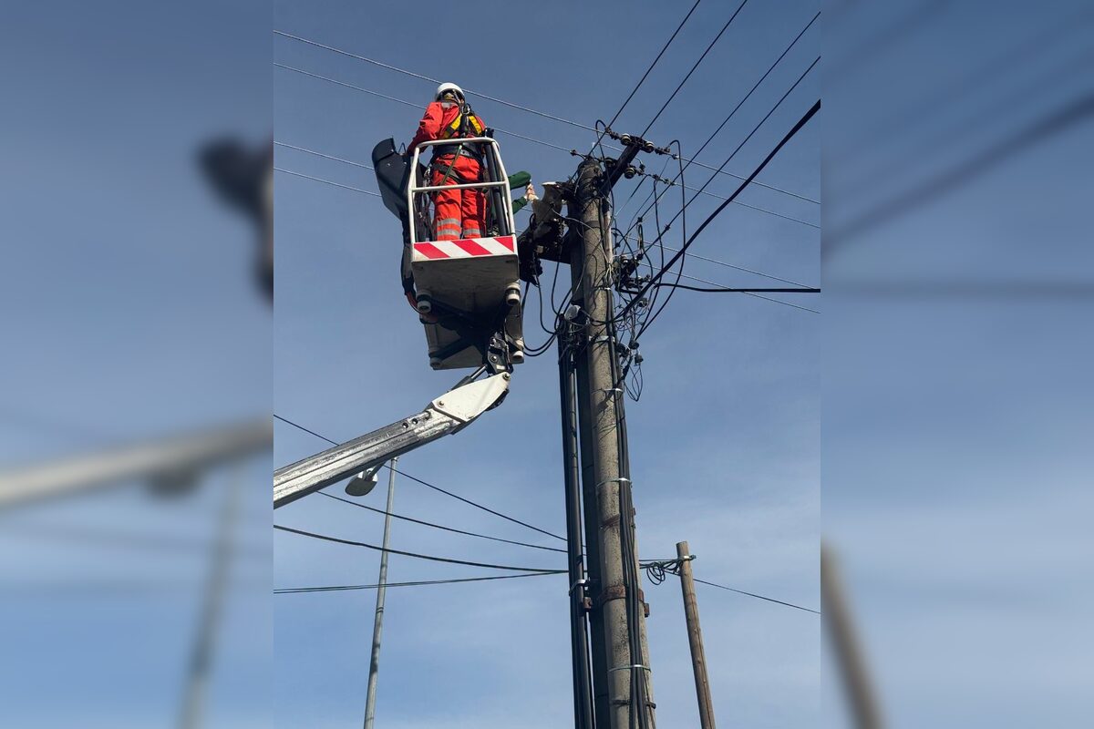 FOTO: Záchrana bociana v Lehniciach, foto 11