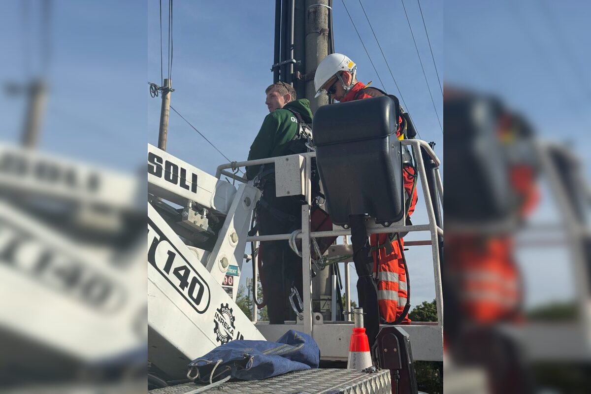 FOTO: Záchrana bociana v Lehniciach, foto 12