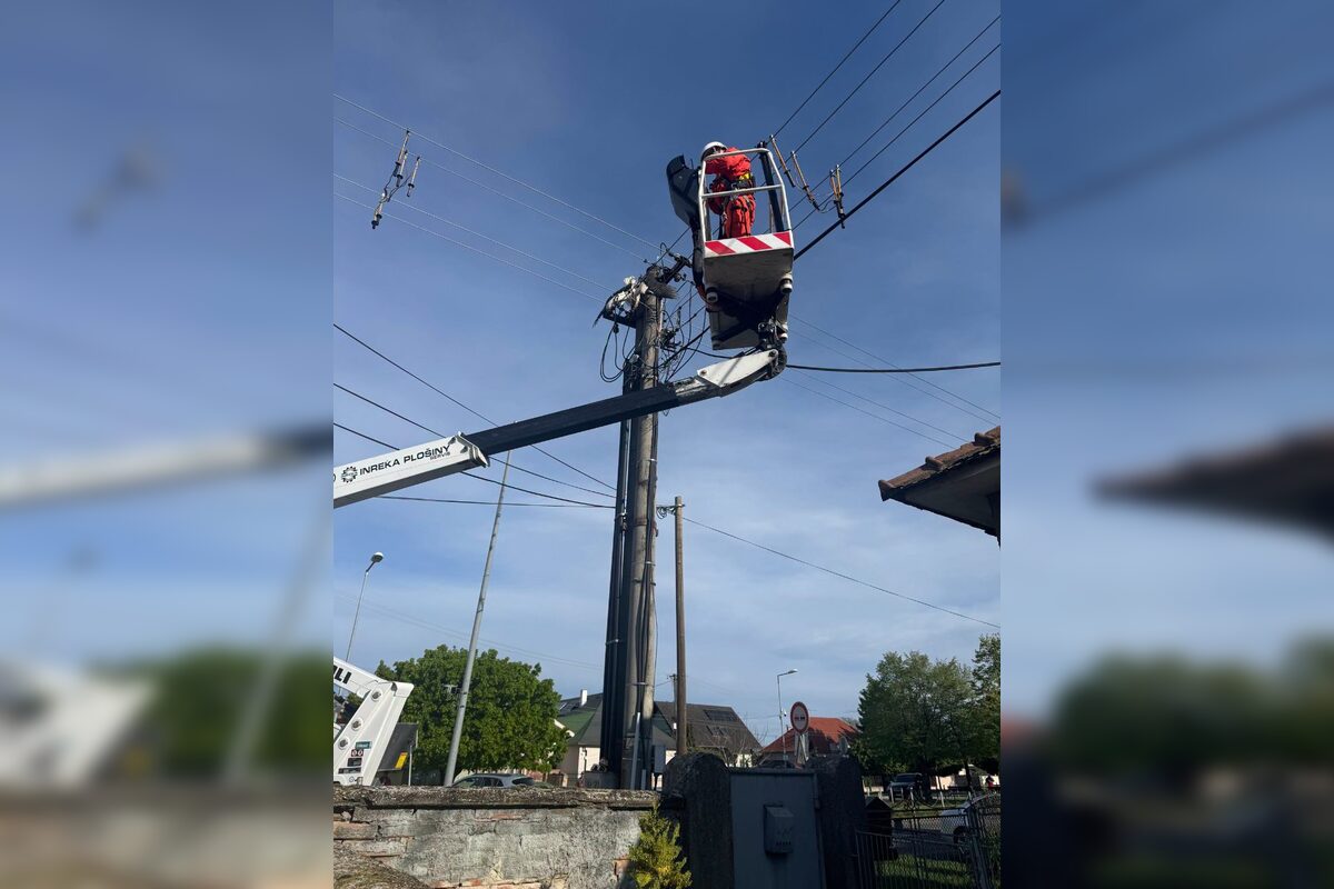 FOTO: Záchrana bociana v Lehniciach, foto 13