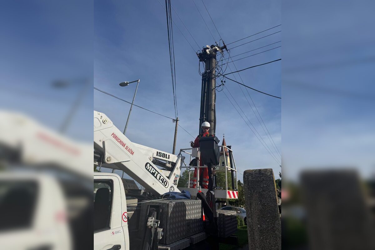 FOTO: Záchrana bociana v Lehniciach, foto 14