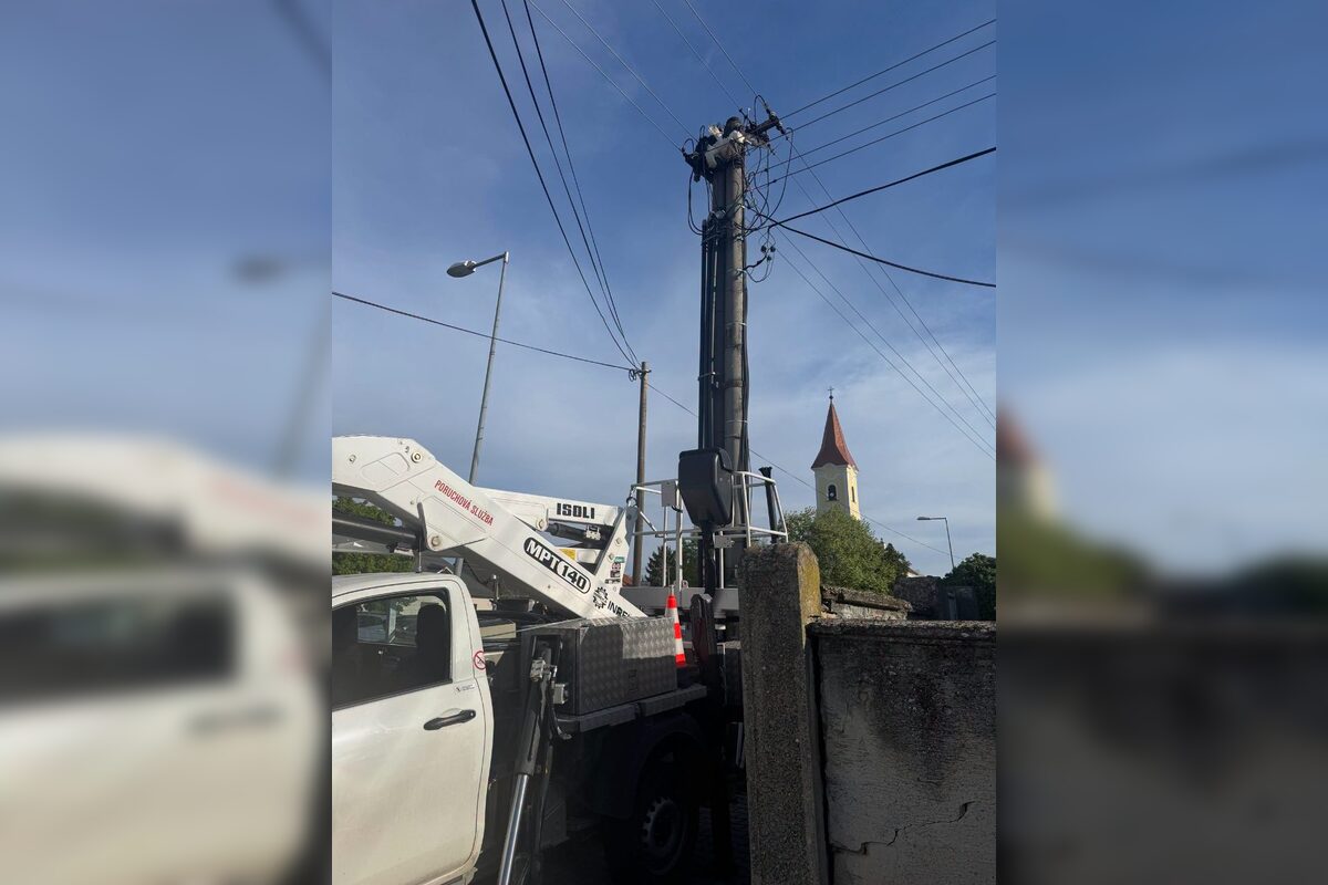 FOTO: Záchrana bociana v Lehniciach, foto 15